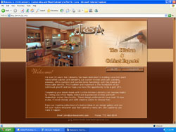 Professional Website Design / Hosting!